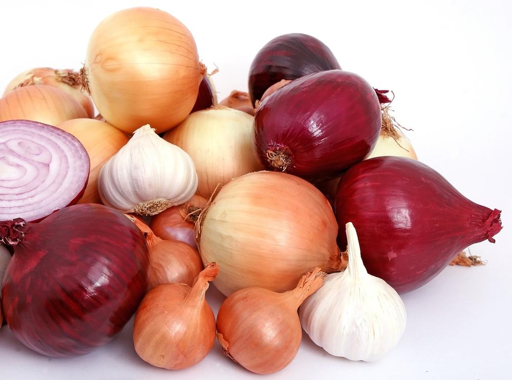 Symptoms of Onion Poisoning in Cats