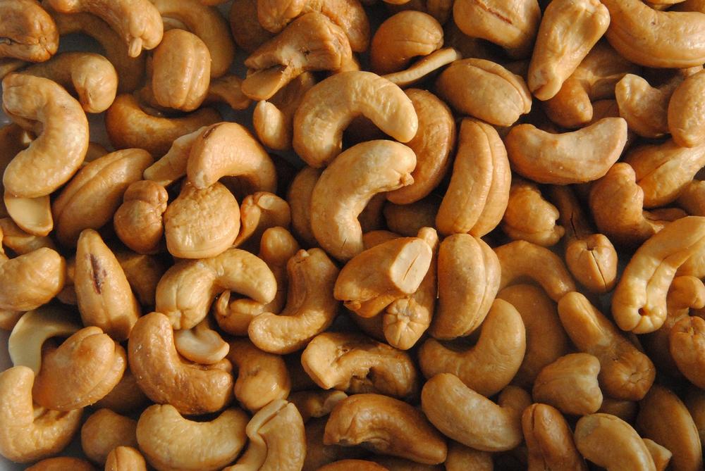 Signs of Cashew Nut Allergy in Cats
