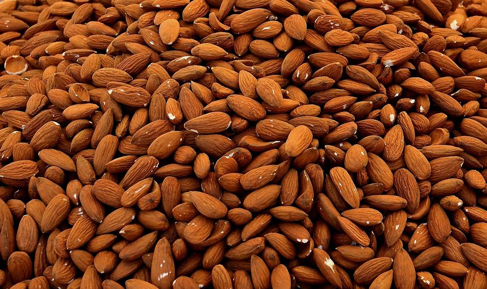 The Nutritional Benefits and Considerations of Almonds for Cats
