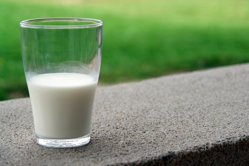 Is Lactose-Free Milk Safe for Cats?