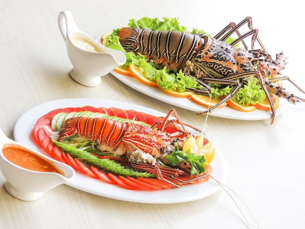Health Benefits of Lobster for Cats