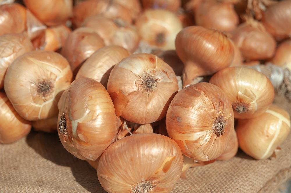 Debunking Onion and Cat Consumption Myths