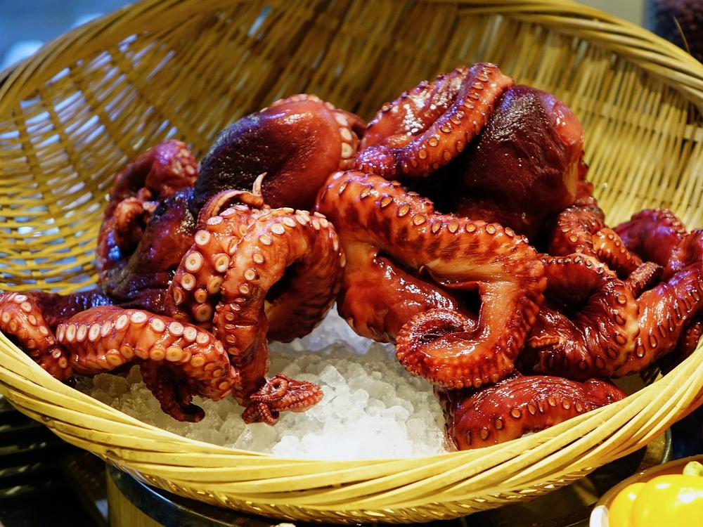 What Are the Nutritional Benefits of Eating Octopus for Cats?