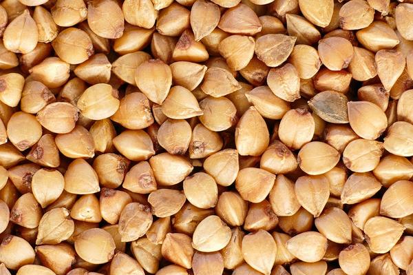 is buckwheat toxic to cats