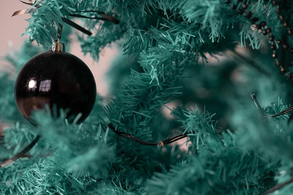 Christmas Trees: Toxicity and Dangers for Cats