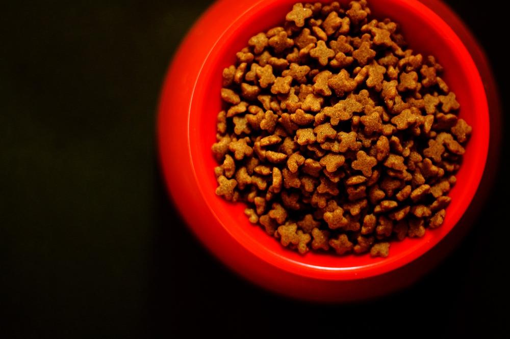 Can Humans Eat Cat Food in Emergency?