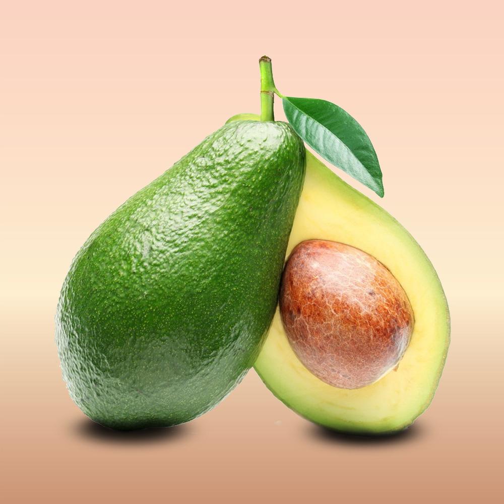 Is an Avocado Plant Poisonous to Cats?