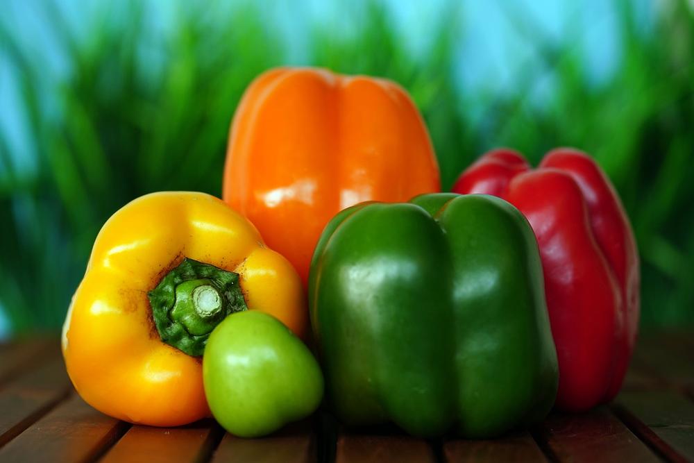 Are Bell Peppers Safe for Cats?