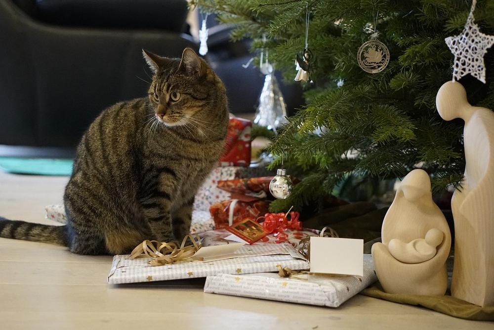 Cat-Safe Christmas Tree: Protecting Your Cat and Decorations