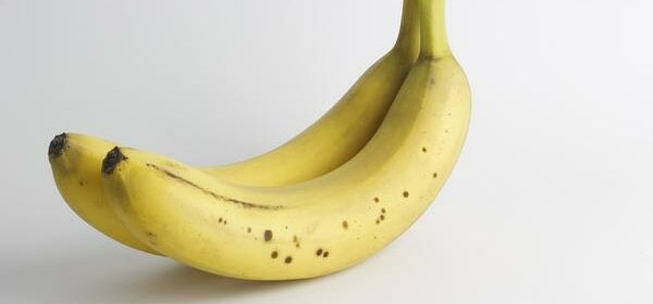 is banana toxic to cats