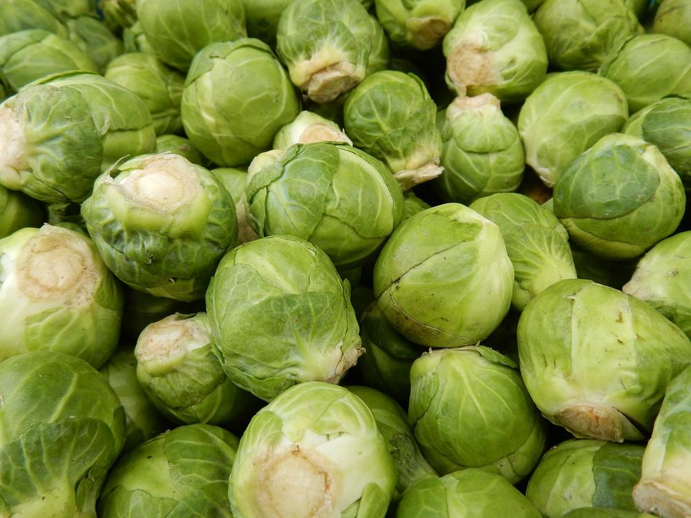 Can Cats Eat Raw Brussels Sprouts?