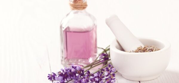 Is Lavender Oil Safe for Cats